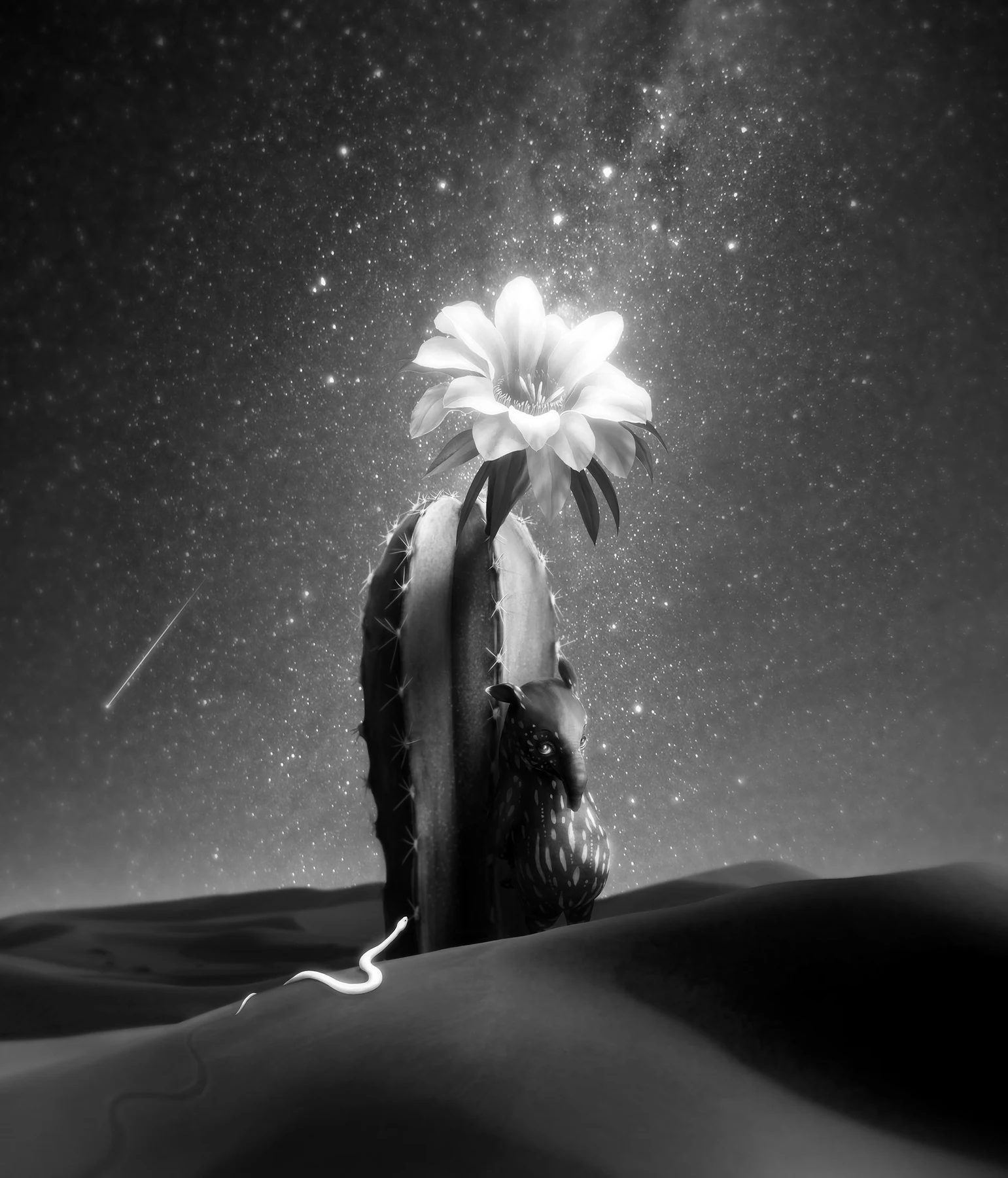 MATSURICA artwork, 2017