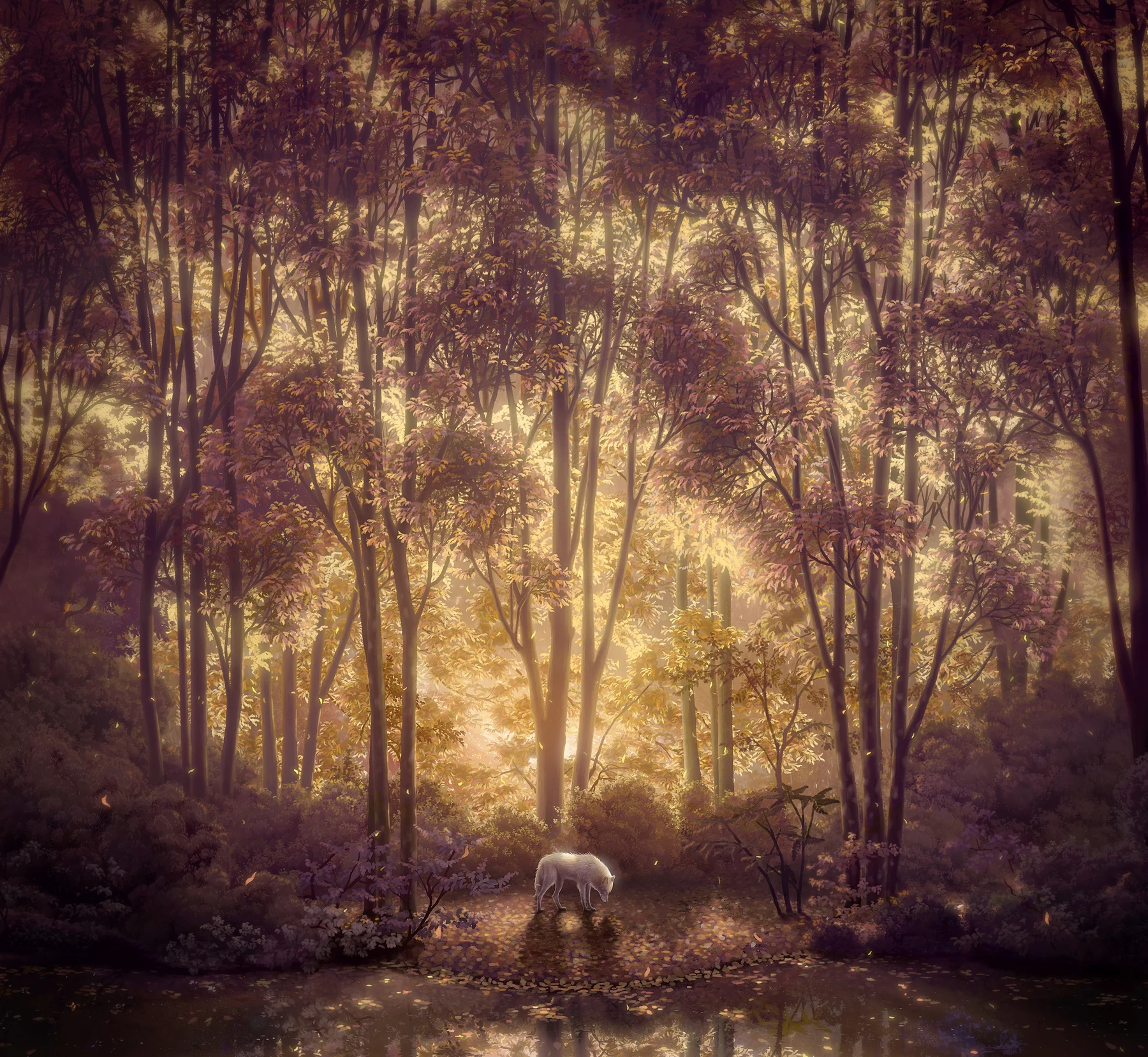 MATSURICA artwork, 2013