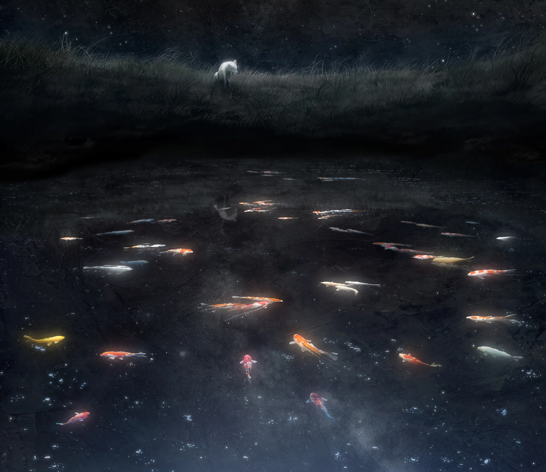 MATSURICA artwork, 2009