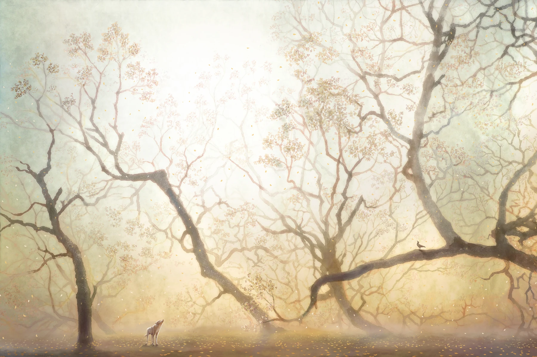 MATSURICA artwork, 2008